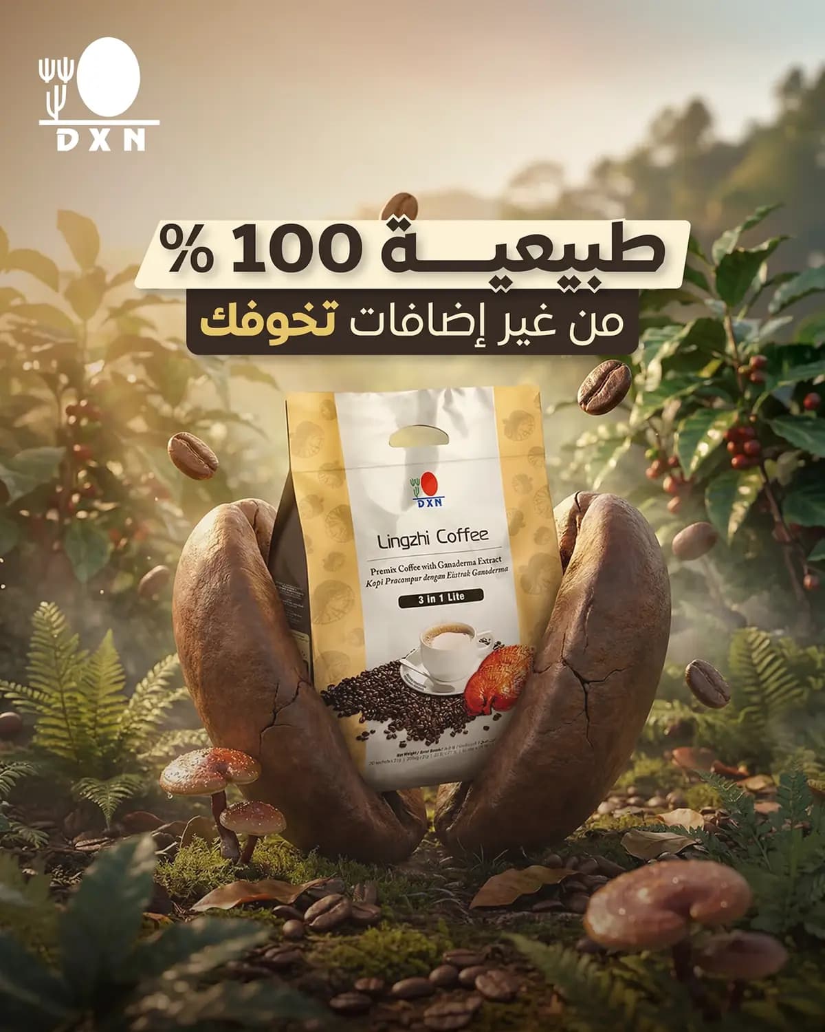 DXN Coffee — 7