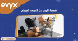 كيفية الربح من الدروب شيبينج