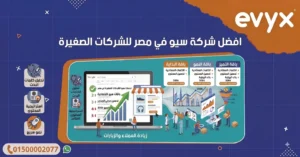 افضل شركة سيو في مصر للشركات الصغيرة