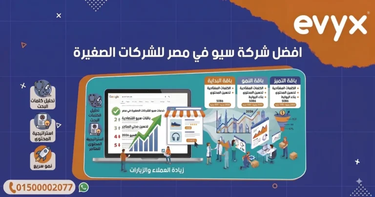 افضل شركة سيو في مصر للشركات الصغيرة