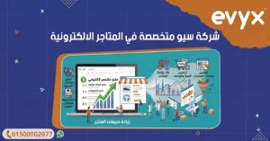 شركة سيو متخصصة في المتاجر الالكترونية
